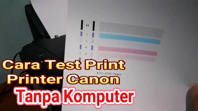 Cara Test Printer