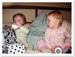 IMG_2449 copy