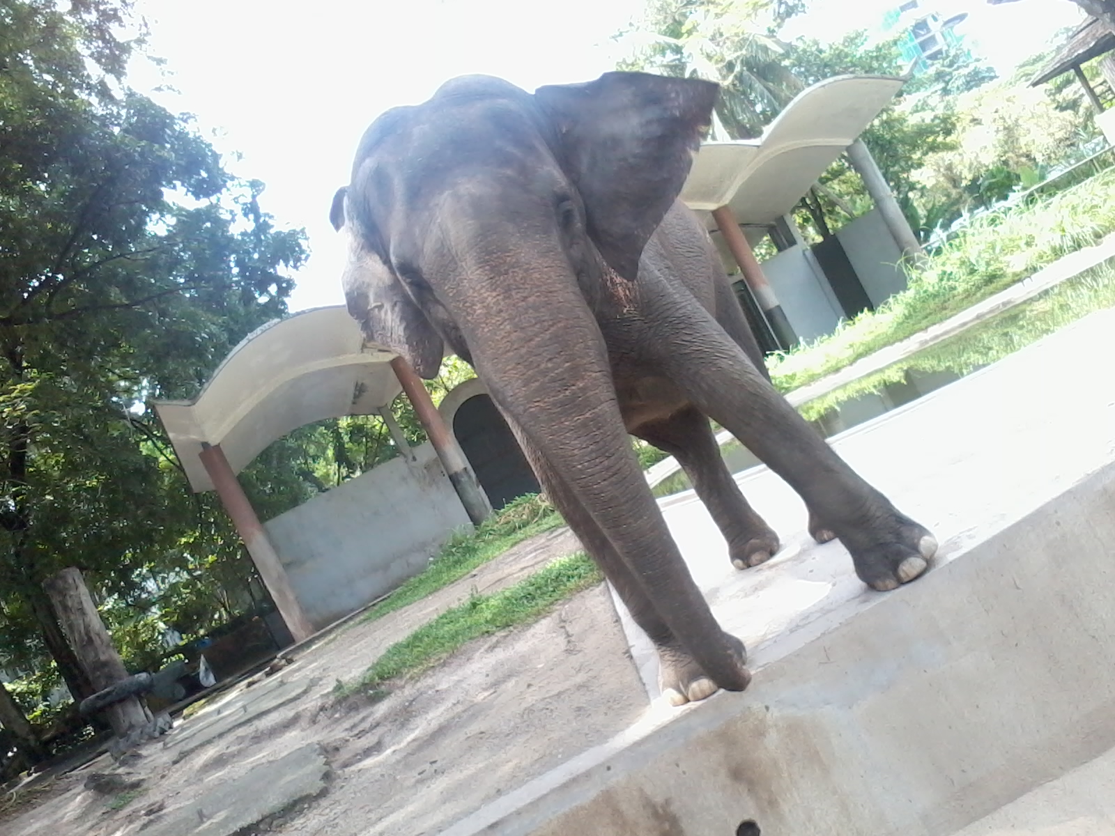 emencer: Harga tiket Zoo Negara 2013