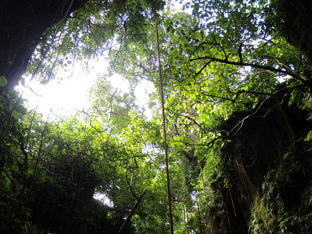 Sacred Monkey Forest Sanctuary, taman monyet, Mandala Wisata Wanara Wana