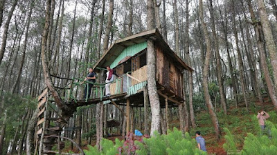 Bumi Perkemahan Kaki Gunung Ciremai Kuningan Jawa Barat