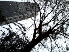 P09-11-11_16.06 P09-11-11_16.06