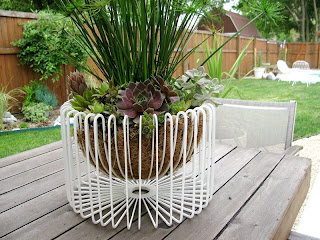 wire basket fruit bowl turned planter