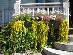 DSCN0435
