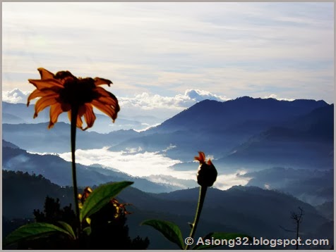 DSCI0129Asiong32