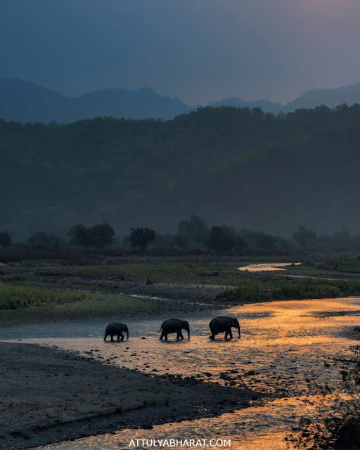 Jim Corbett National Park-Nainital-Uttarakhand