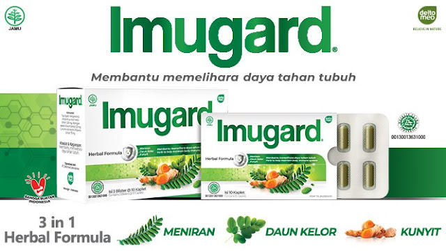 Imugard dengan bahan alami : Kunyit, Meniran, Daun Kelor