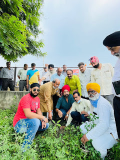 संपूर्णता दिवस पर पुरषोत्तम सागर पर किया पौधारोपण