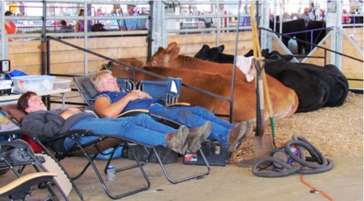 ScenesAroundtheFair-24-2013-08-16-19-02.jpg