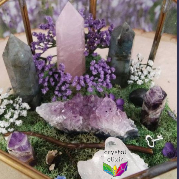 Amethyst Crystal Garden Display