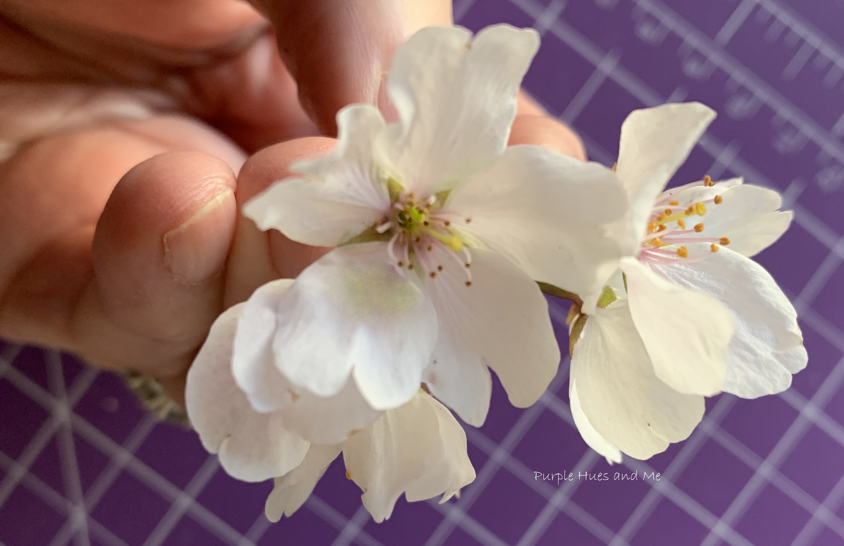 How to make simple wire flowers - crafty springtime blooms