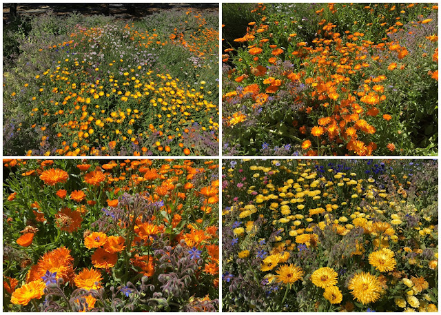 French Laundry Flower garden