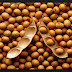 Klasifikasi Dan Morfologi Flora Kacang Kedelai  (Glycine Max L. )