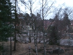 DSCF0303