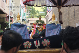 Kodai Utsavam, Tholukiniyaan, Purappadu,Video, Divya Prabhandam,Sri Parthasarathy Perumal, Triplicane,Thiruvallikeni,Utsavam,