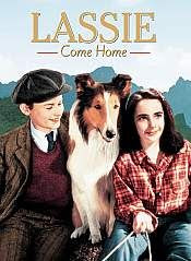 lassie come-home