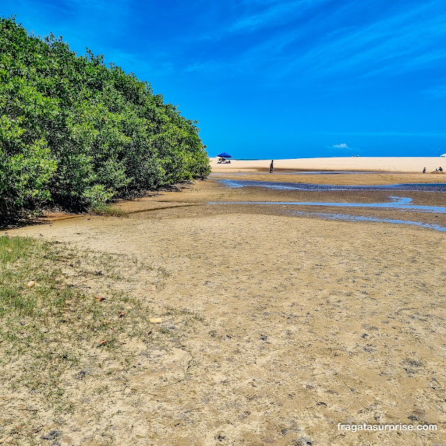 Praia do Imbassaí, Litoral Norte da Bahia