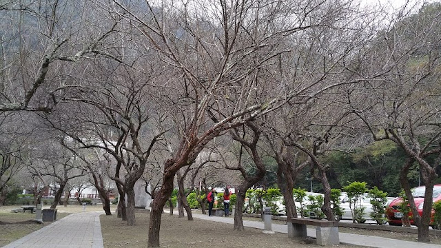 taroko tianxiang plum garden