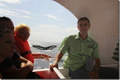 Samana