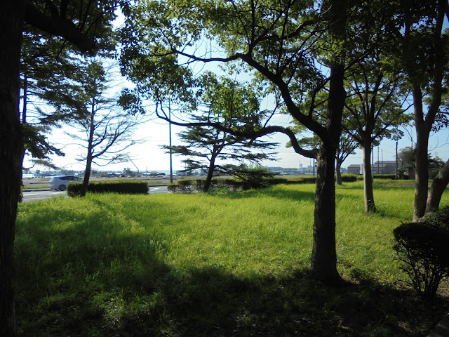 夢みなと公園内から港の方を望む