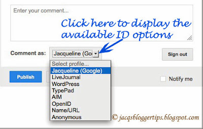 Screenshot showing the Identity Options available when allowing 'Anyone' to comment on your blog