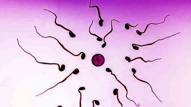 Scientists say men are losing fertility: Affected by chemicals in daily life