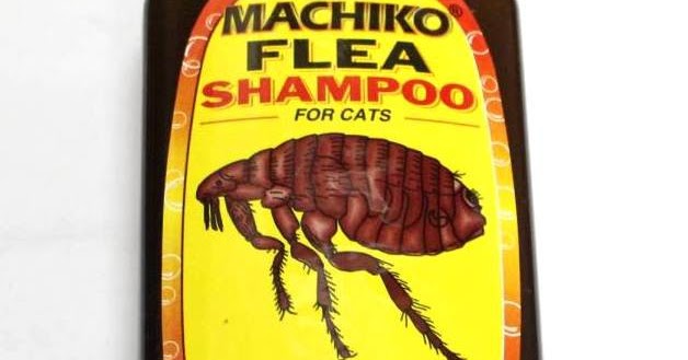 Shampoo Kutu Kucing Machiko 225ml  Kawan Pets