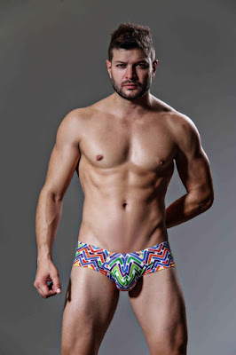 Daniel Alexander Dynamism boxer Trunk Print