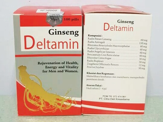 Jual Pil Ginseng DELTAMIN Kemasan 100 produk NAN FENG (NF) di Surabaya