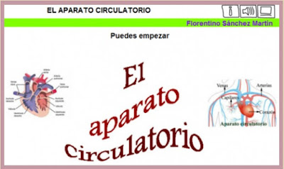 http://cplosangeles.juntaextremadura.net/web/edilim/tercer_ciclo/cmedio/las_funciones_vitales/la_funcion_de_nutricion/circulacion/el_aparato_circulatorio/el_aparato_circulatorio.html