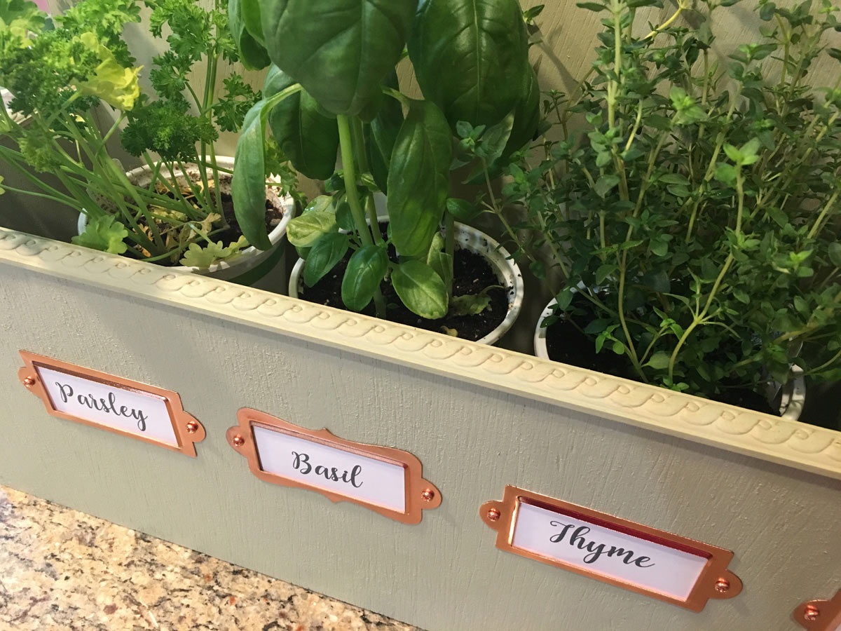 Tabletop herb garden