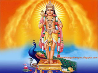 subramanya swamy image