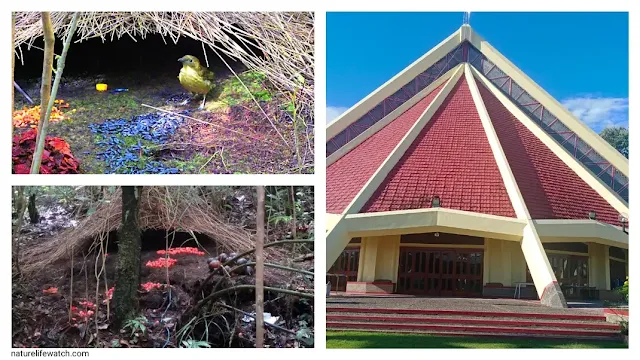 Roman Catholic Church of Sorong city