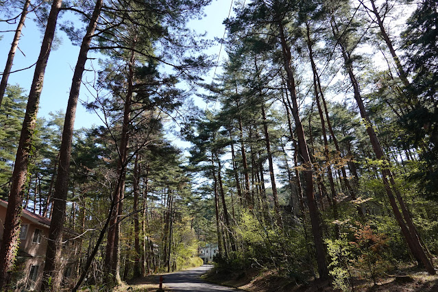 鳥取県西伯郡伯耆町丸山 ロイヤルシティ大山