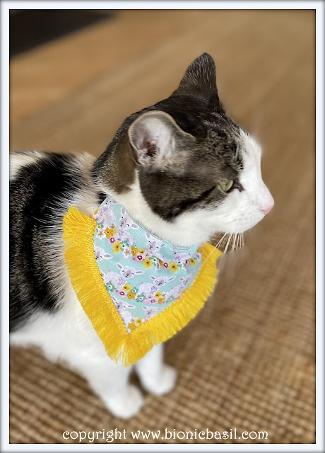 The BBHQ Midweek News Round-Up ©BionicBasil® Melvyn Modelling This Weeks Top Pick Bandana -Lamb'a'licious with yellow fringing