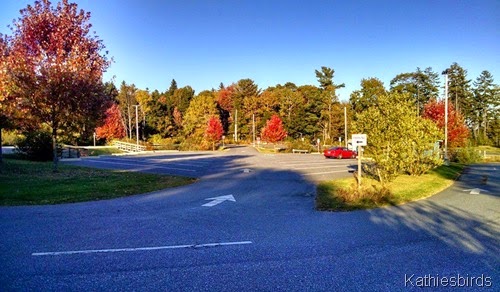 10-12-14 Autumn boat launch parking lot
