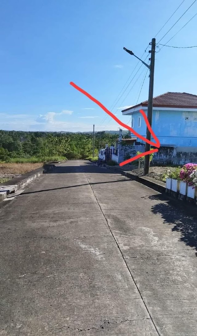 LOT FOR SALE COMPOSTELA CEBU