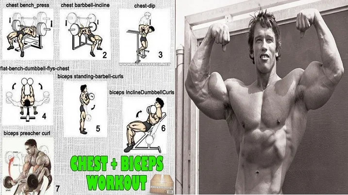 Bodybuilding Training For Chest and Biceps