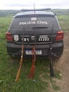 Polícia Civil e Militar recuperam gados furtados na região de Pintadas e apreendem armas.