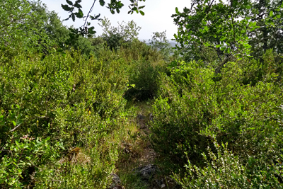 Descenso de la cima