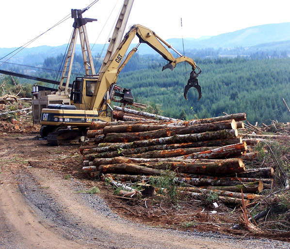 Logging operation