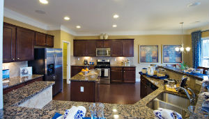 GA-IN-Terrasol-Somerset-Kitchen02-AREF.jpg GA IN Terrasol Somerset Kitchen02 AREF