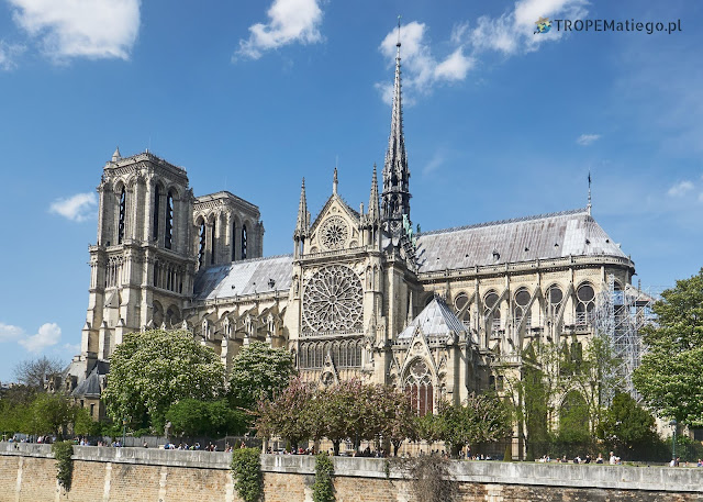 Notre-Dame Cathedral