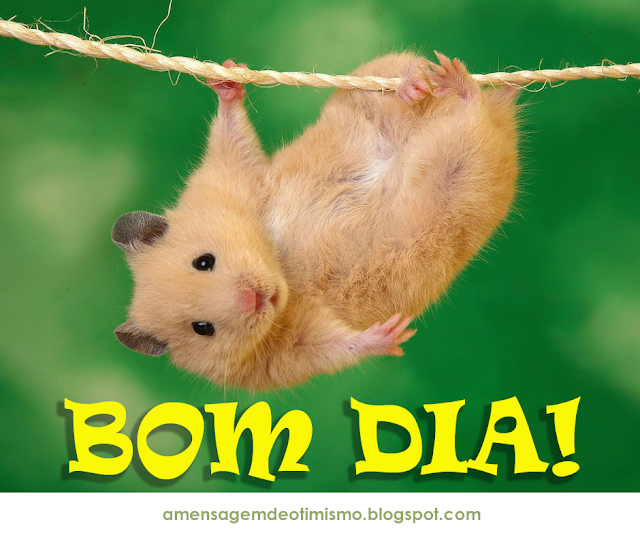 Bom Dia