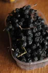 recette baies d'aronia