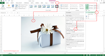 Cara Memotong Gambar Crop Picture di Excel