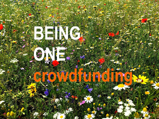 Being One Crowdfunding. Arkaditeca
