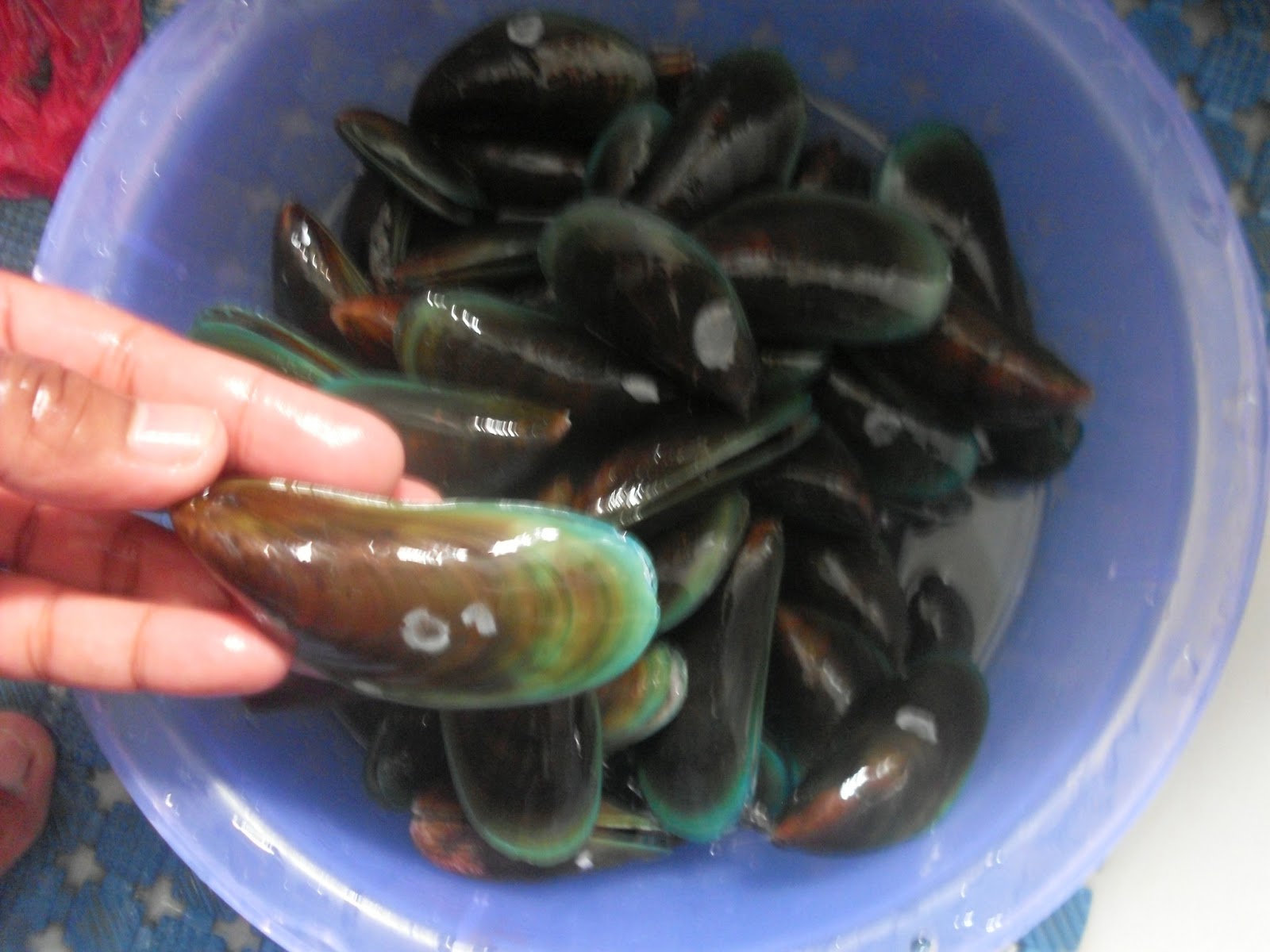 Iffrinaqil: Resepi Kupang Masak Sambal Istimewa
