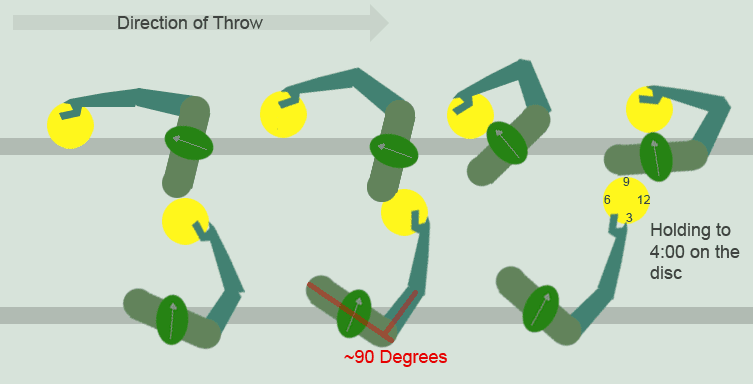 Disc Golf Anatomy Academy Part 2: Biceps and Triceps- a more