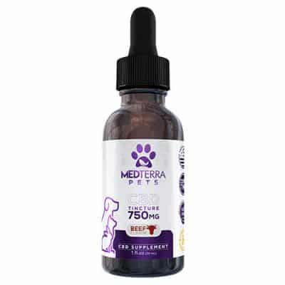 cbd for pets